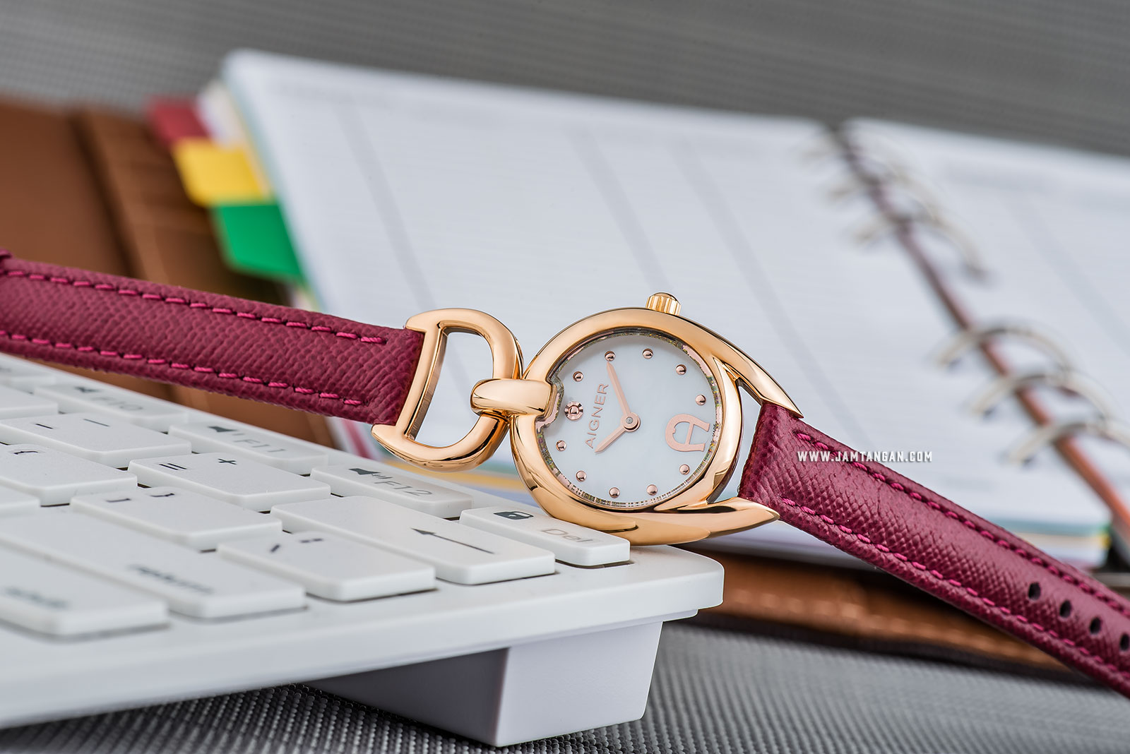 Aigner Garda A24266 Ladies White Dial Rose Gold Case Red Leather Strap Machtwatch