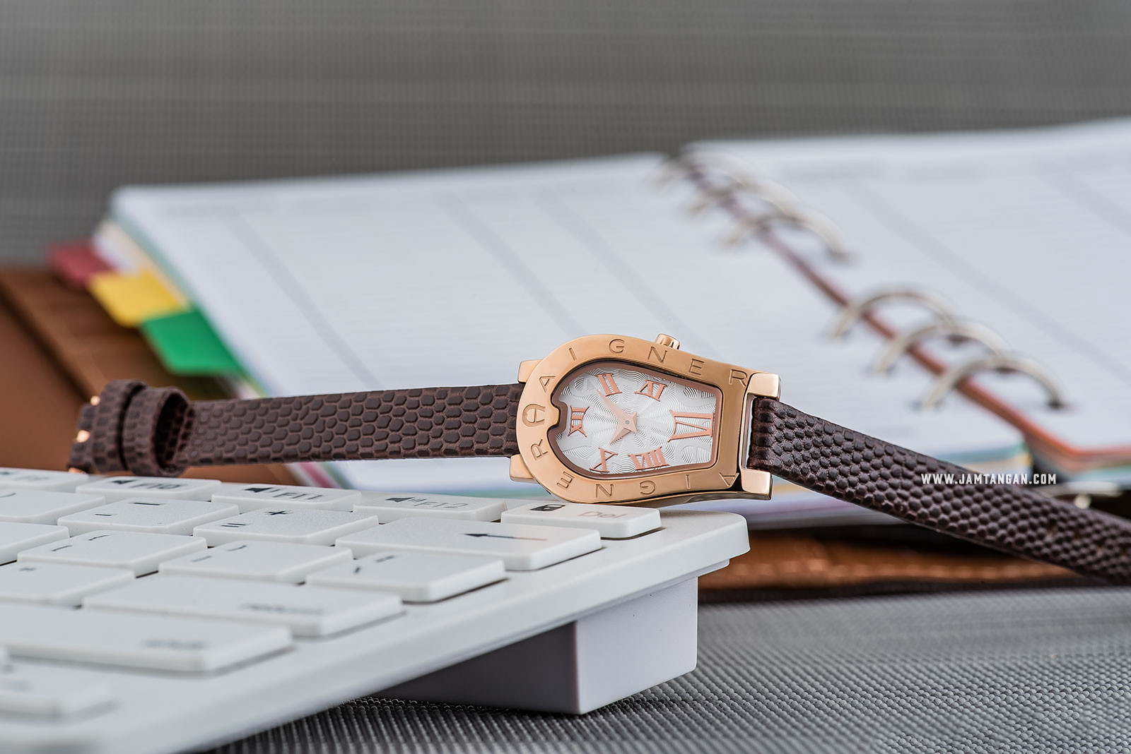 Aigner Olbia II A29240 Ladies Silver Dial Rose Gold Case Brown Leather Strap Machtwatch