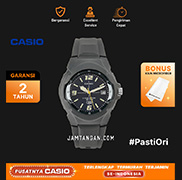casio hd 2719 mw600