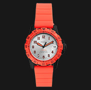 Fossil Indonesia - Official Store 