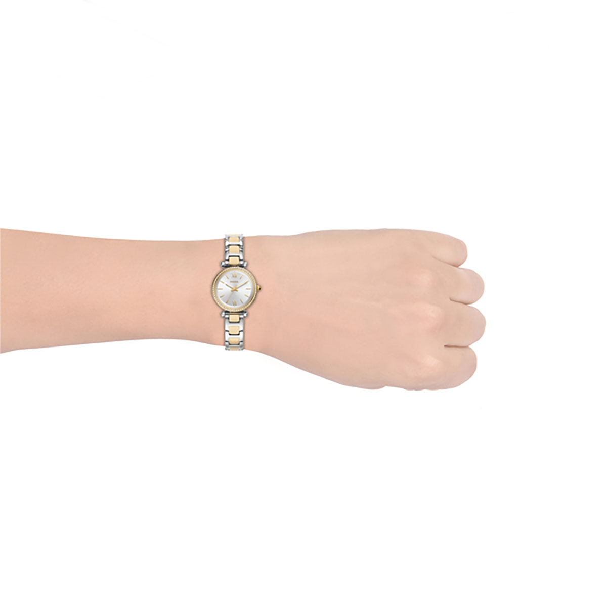 Fossil Scarlette Mini ES4955 Ladies 