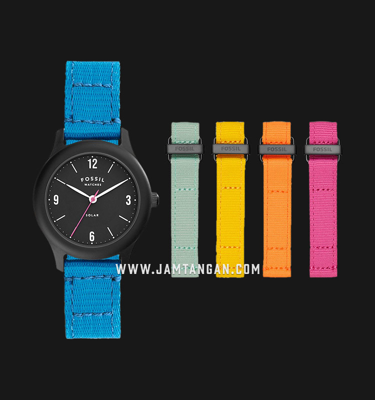 Fossil Curator LE1112 Limited Edition 
