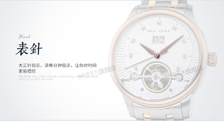 Seagull 217.413 Automatic Mechanical Big Date Flyweel Two-Tone Stainless Steel Machtwatch