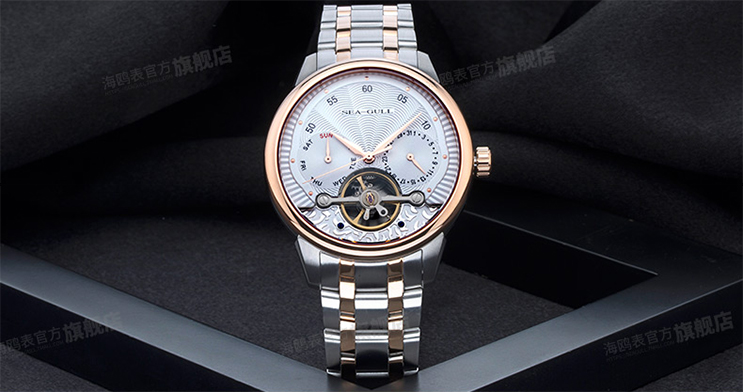 Seagull 217.414 Automatic Mechanical Day Date Flyweel Two-Tone Stainless Steel Machtwatch