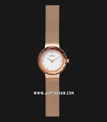 Skagen skw2799 best sale