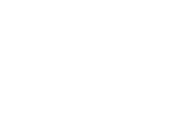 Logo Spinnaker
